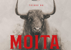 GRANDES ACONTECIMENTOS NA FEIRA TAURINA DA MOITA DO RIBATEJO